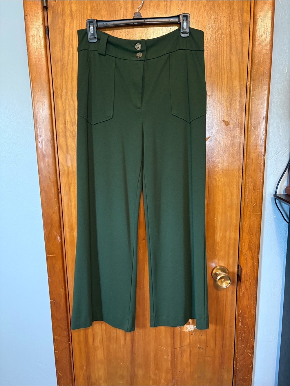 Lularoe Emery Wide Leg Pants in Dark Olive Green - Size M
